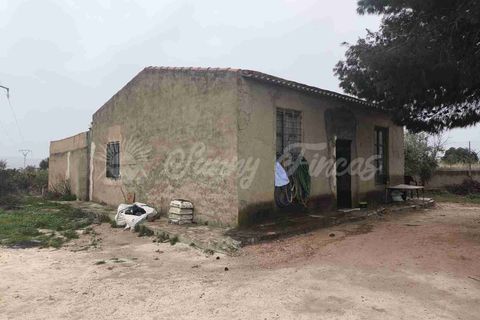 Landejendom i Monovar, Alicante, Monovar - € 88.000 | Ref: SF0564 - foto 13